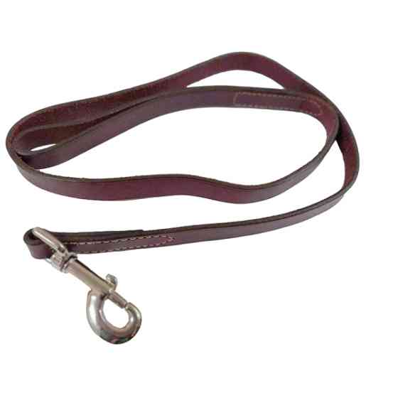 Coastal Circle-T Dog Leash КОСТАЛ СЕРКЛ-Т шкіряний повідець для собак, 2смХ1.2м Київ
