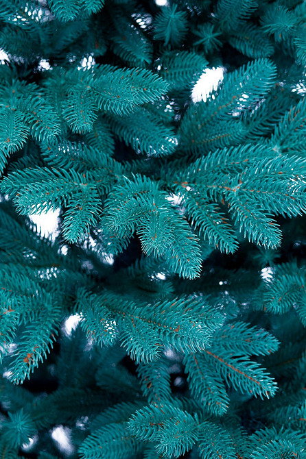 Искусственная пушистая елка Элит (высота 2.30 м) литая (Голубая) Винница - изображение 8