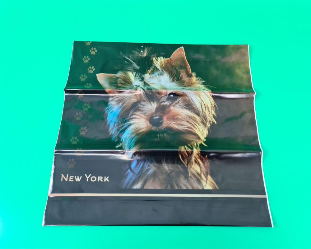 Полиэтиленовый пакет (40х40) с пластиковой ручкой