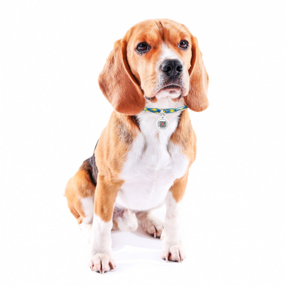 Шнурок для адресника з паракорду WAUDOG Smart ID, світловідбиваючий, "Colors of freedom", розмір S, діаметр 4 мм, довжина 25-45 см Київ - фото 3