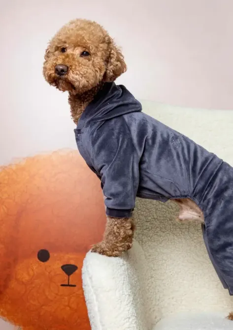 Костюм для собак велюровий Dogs Bomba з капюшоном трикотаж весна-осінь для середніх порід Кураж Графіт 5 Одеса - фото 1