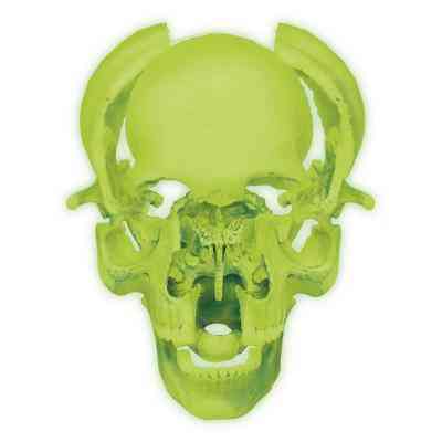 Пазл 4D Master Об&apos;ємна анатомічна модель Череп людини світиться (FM-626113) Вінниця