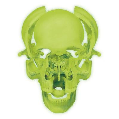 Пазл 4D Master Об&apos;ємна анатомічна модель Череп людини світиться (FM-626113) Вінниця - фото 3