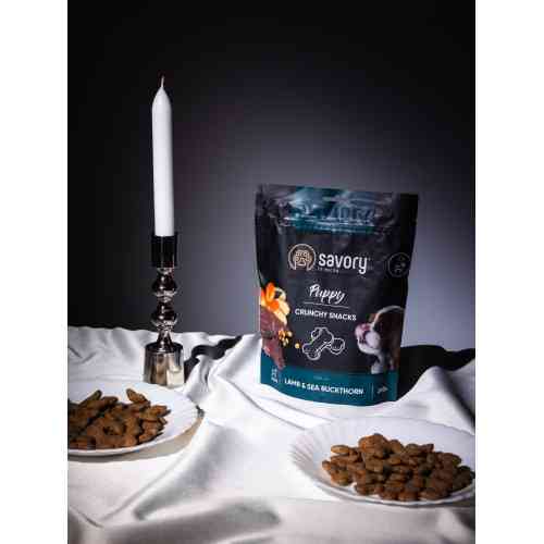 Хрусткі ласощі Savory Puppies Lamb and Sea Buckthorn для цуценят усіх порід для здорового росту з ягням та обліпихою 200 г Київ