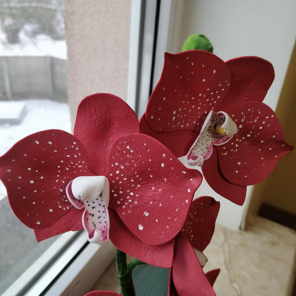 Світильник-нічник "Орхідея Бордова" Дніпро - фото 9