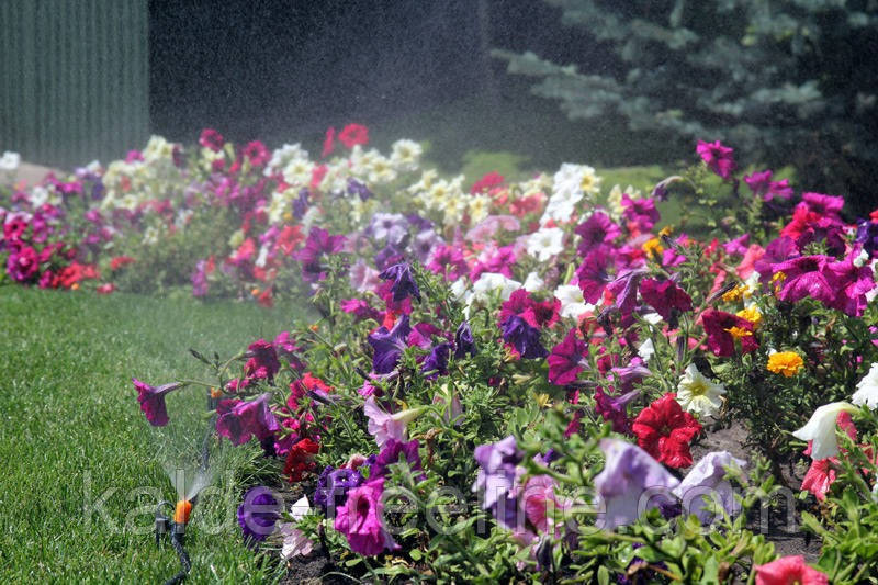 Набір Presto-PS система туманоутворення (1005-S) Харків - фото 10