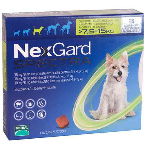NexGard Spectra М (Нексгард Спектра М) таблетки проти кліщів, бліх і гельмінтів для собак вагою від 7.5 до 15 кг Запоріжжя