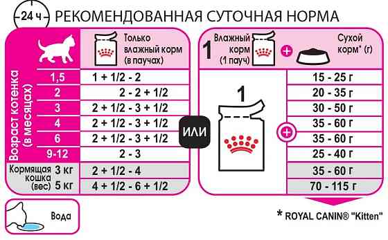 Royal Canin Kitten Gravy (Роял Канін Кіттен шматочки в соусі) вологий корм для кошенят до 12 місяців 0.085 кг. х 12 шт. Запоріжжя