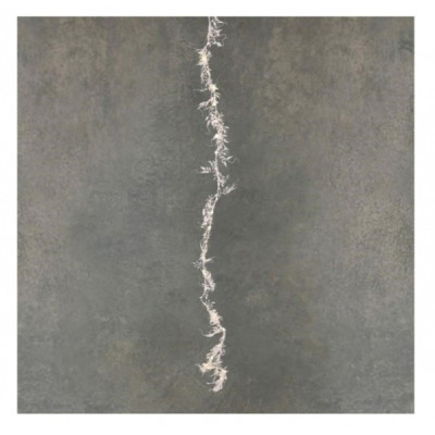 Гірлянда Luca Lighting Строката гілка холодний білий 150 см (8718861841015) Вінниця - фото 1