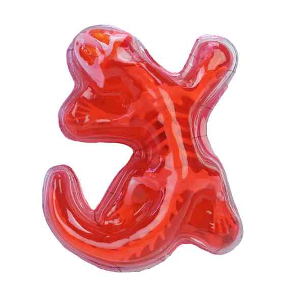 Детский лабораторный набор Ящерица 803B, скелет, внутренние органы Винница