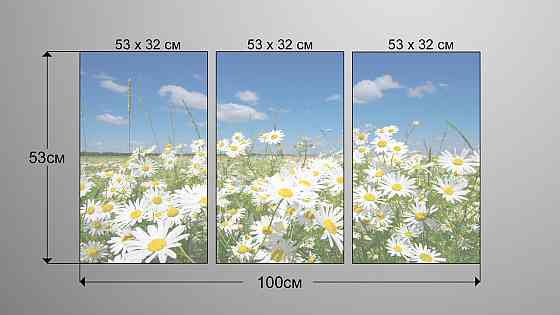 Модульная картина Природа Ромашка Art-47_3А Киев