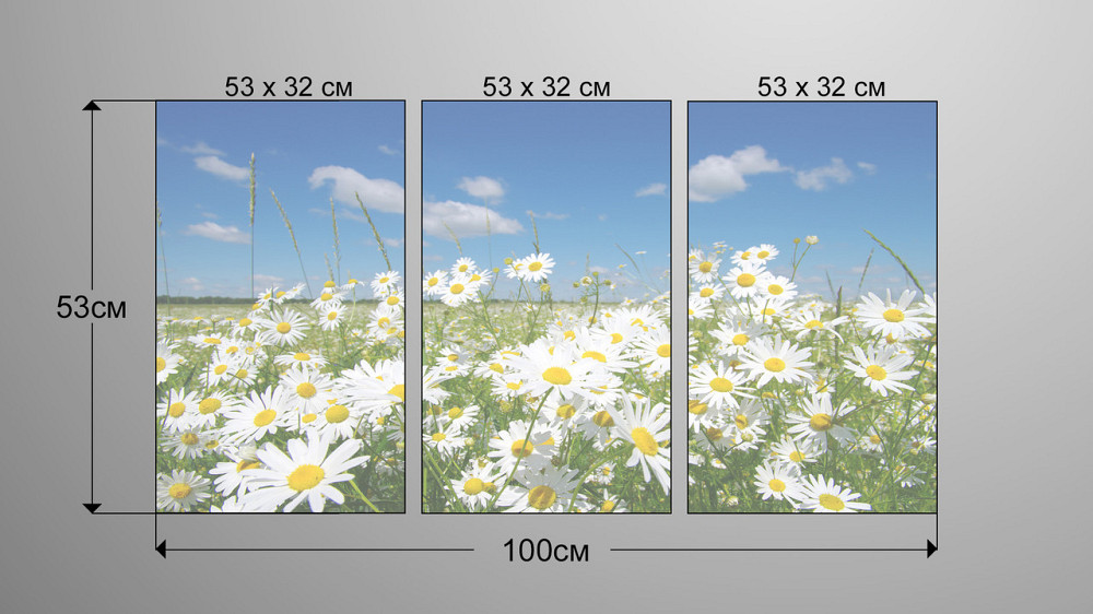 Модульная картина Природа Ромашка Art-47_3А Киев - изображение 3