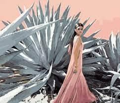 Набір для розпису по номерах Біля алоє Strateg розміром 40х50 см (GS1322), шт Киев - изображение 1