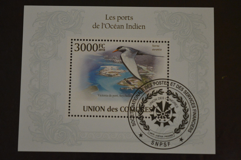 Коморы. Марки. Фауна. Блок. 2010 год (В-5) Полтава - изображение 1