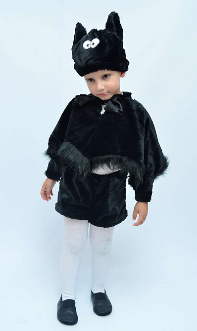 Детский карнавальный костюм Летучей Мыши 3-5 лет Киев - изображение 1
