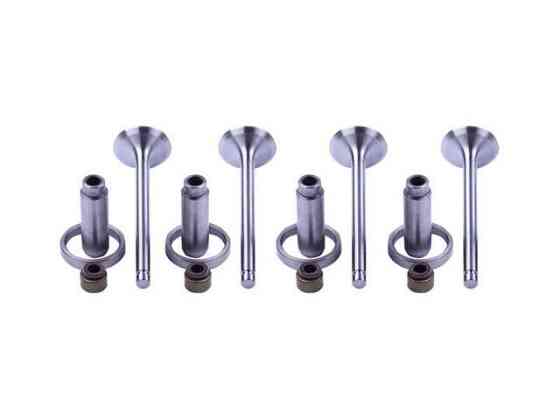 Клапани на трактор Хинтай 224 з дизельним двигуном двигун TY2100 мінітрактор , к-т Мукачево