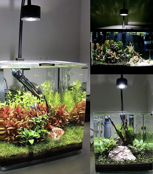 Світлодіодні лампи для акваріумів Lominie Asta 20 Луцк - изображение 1