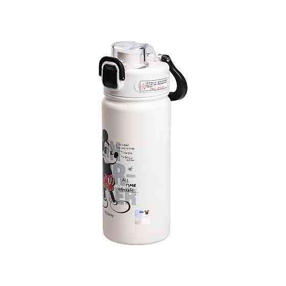 Термос дитячий Disney з кришкою на защіпці 500 мл Чорний HP-14-3B Коломия