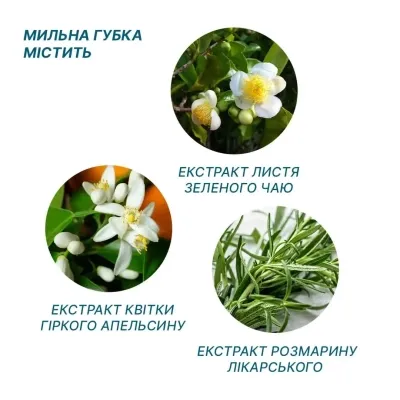 Одноразовий душ Estem Comfort Set 5шт (53-202-IS) Вінниця