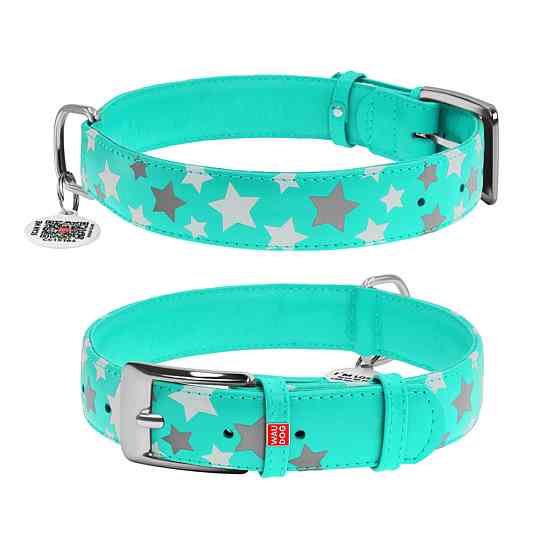 Нашийник для собак шкіряний WAUDOG Glamour з QR паспортом, візерунок "Зірочка", світлонакопичувальний/світловідбивний, XL, Ш 35 мм, Дов 46-6 Київ