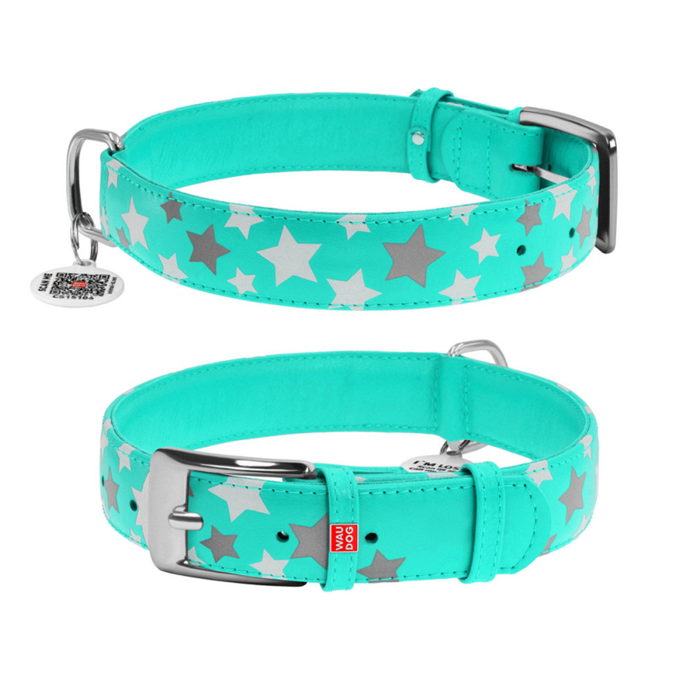 Ошейник для собак кожаный WAUDOG Glamour с QR паспортом, узор 