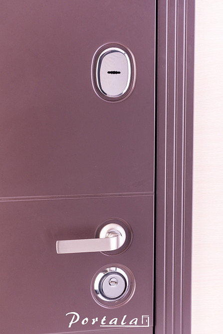 Двері вуличні, МДФ-фарбування по RAL,серія Преміум, модель Лозана, гнутий профіль, коробка 150 мм, полотно 105мм 850 Київ - фото 4