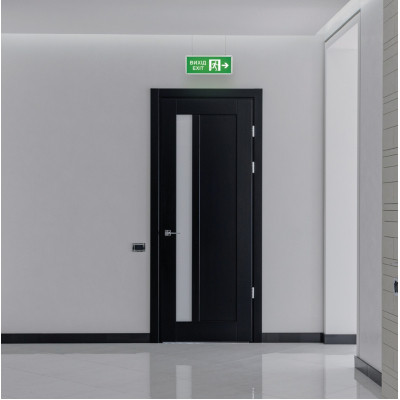 Світильник TITANUM LED аварійний ВИХІД ЗІ СТРІЛКОЮ двосторонні (TL-EM101-D) Вінниця - фото 4