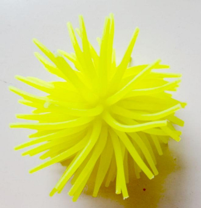 Яскравий декор в акваріум - Морський їжак. Київ - фото 1