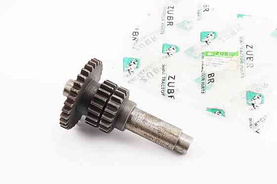 Вал КПП вторинний L-145mm +шестерня Z-19x31+шестерня Z-19, к-кт 3шт 81-1 Киев