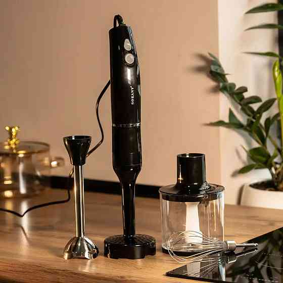 Блендер ручний занурювальний з насадками Sokany універсальний 4 в 1 смузі мейкер 800 Вт потужний SK-DD-1812 Київ