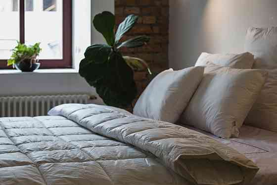 Ecotton Ковдра Ecotton Ecofill Premium 140х205 см полуторна антиалергенна з біопухом біла в чох Коломыя