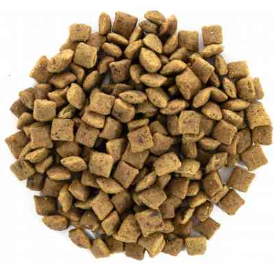 Сухий корм для кішок Brit Care Cat GF Senior Weight Control 2 кг (8595602540945) Вінниця