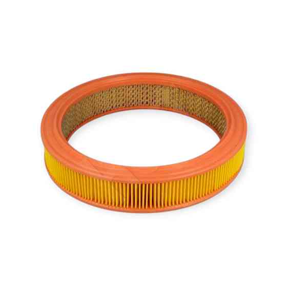 Фильтр Renault 19, 21 1.7 88- воздушный Мукачево