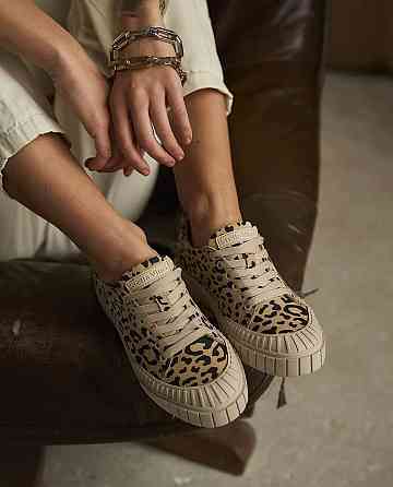 Кеды женские Stella Vinci леопард натуральная замша 37-40р. (5399) Коломыя