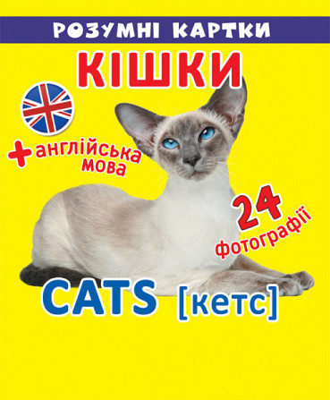 Розумні картки. Кішки. 12 карток, шт Киев - изображение 1