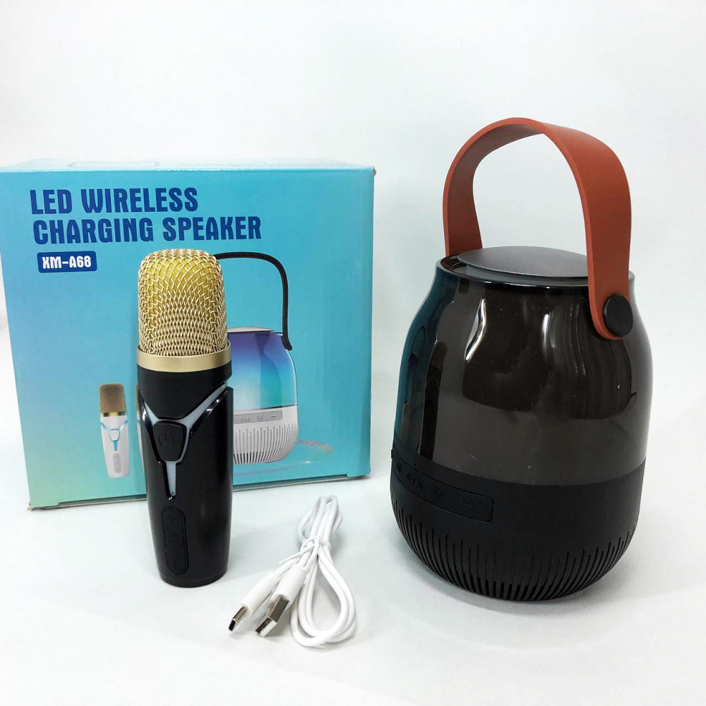 Караоке-мікрофон з блютуз краще, Bluetooth караоке мікрофон, Караоке домашнє дитяче WN-94 Львів - фото 8