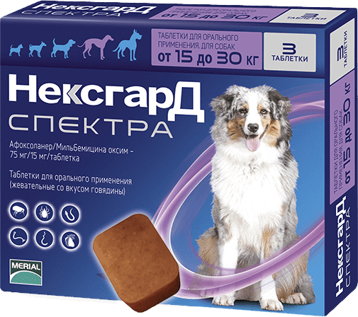 NexGard Spectra L (Нексгард Спектра L) таблетки від кліщів, бліх і гельмінтів для собак вагою від 15 до 30 кг Запоріжжя - фото 1