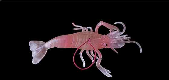 Іграшкова силіконова велика креветка 13 см рожевий Київ