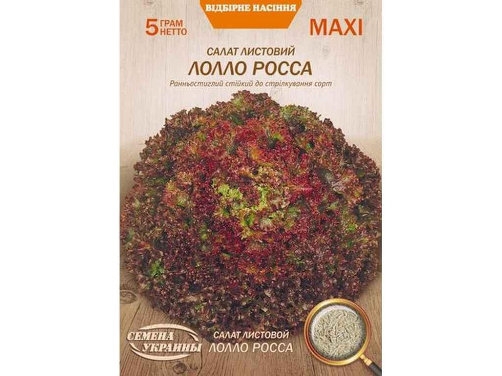 Максі Салат листовий ЛОЛЛО РОССА 5г (10 пачок) (рс) ТМ НАСІННЯ УКРАЇНИ Київ - фото 1