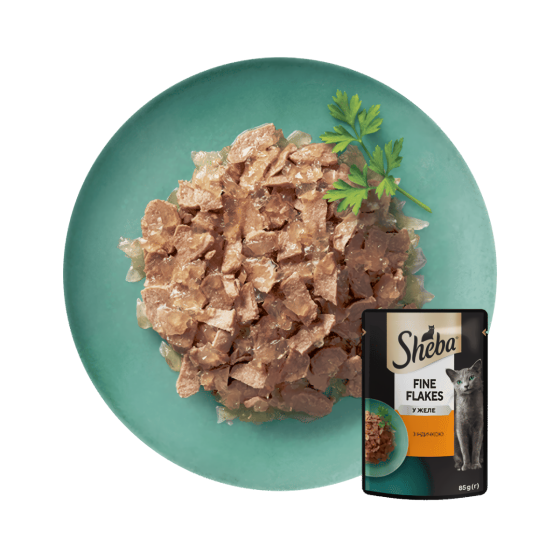 Вологий корм Sheba (Шеба) cij POU для дорослих котів з індичкою в желе 85 г Вінниця