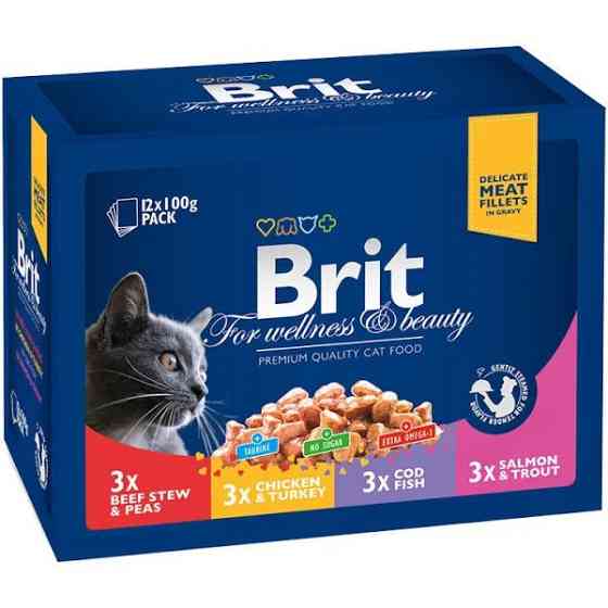 Влажный корм для кошек Брит Brit Premium Набор паучей семейная тарелка ассорти 4 вкуса 100 гх 12 шт Винница
