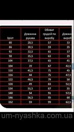 Хлопчача вишиванка "Тризубець" на 1-14 років Кривий Ріг