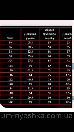 Хлопчача вишиванка "Тризубець" на 1-14 років Кривий Ріг - фото 6