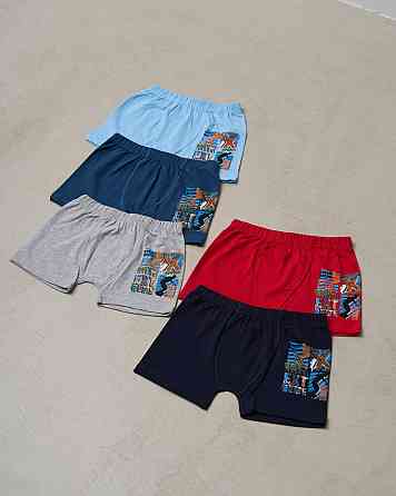 Боксеры подростковые на мальчика - Extreme Sport из 5 шт. Nicoletta 41426 8-9 Киев