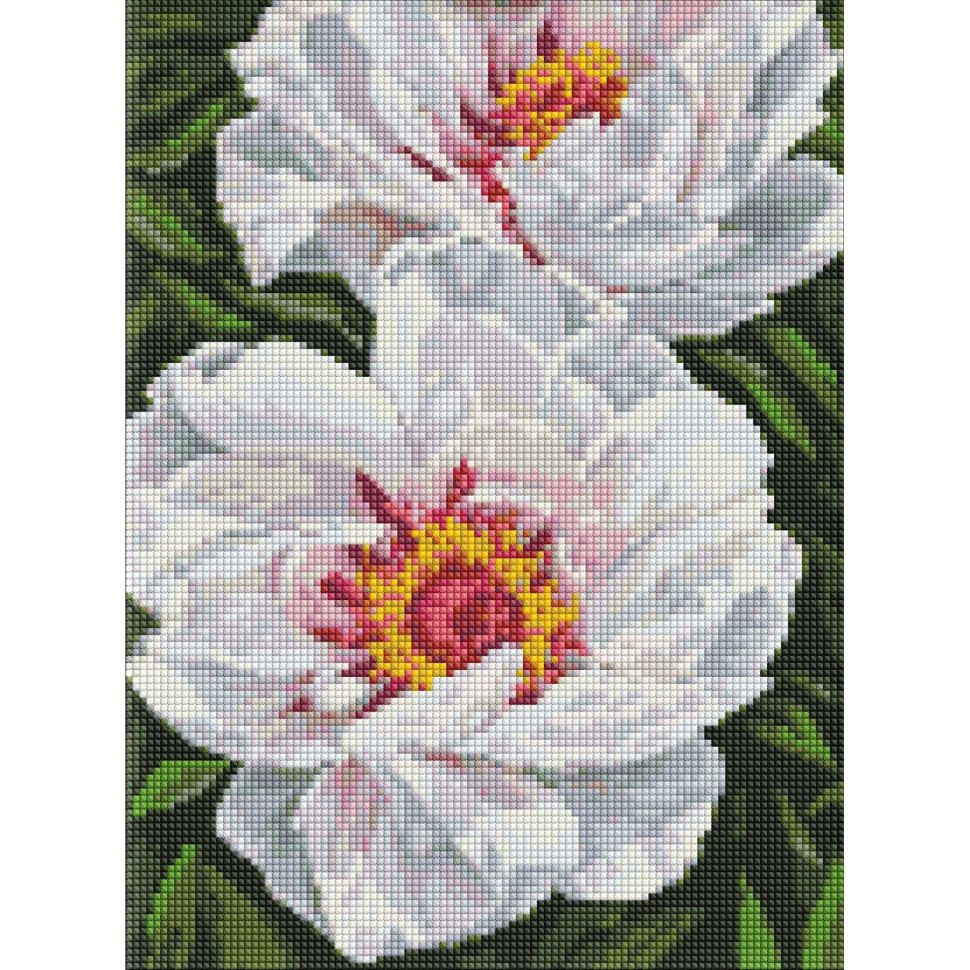 Алмазна мозаїка "Білі півонії" AMO7753 30х40 см Вінниця - фото 1