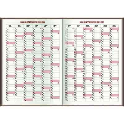 Тижневик Economix датований 2024 Spectrum, бірюза А5 (E21848) Вінниця