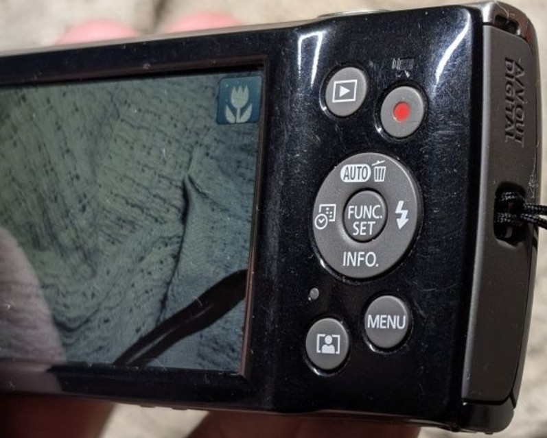 Фотоапарат Canon IXUS 185 Київ - фото 3