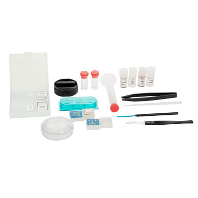 Мікроскоп Sigeta Poseidon 100x, 400x, 900x (65902) Вінниця - фото 4