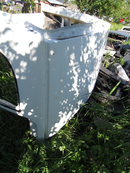 Дах Renault Kangoo 2008-2015 Ковель - фото 1