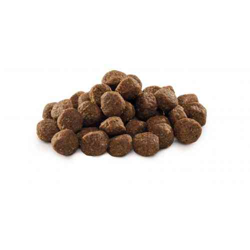 Корм сухий Brit Premium Dog Junior M для цуценят та молодих собак середніх порід від 1 до 12 місяців вагою 10-25 кг з куркою Київ